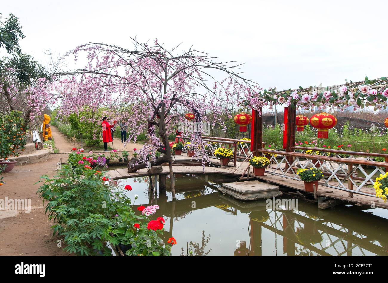 Nhat Tan flower garden, a suburb of Ha Noi, Vietnam in spring Stock Photo