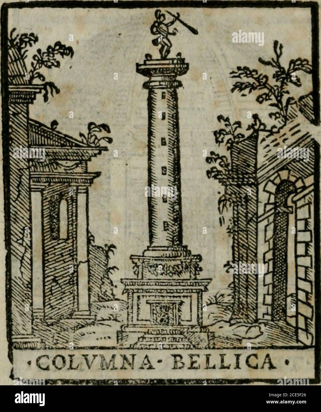 Unta High Resolution Stock Photography And Images Alamy