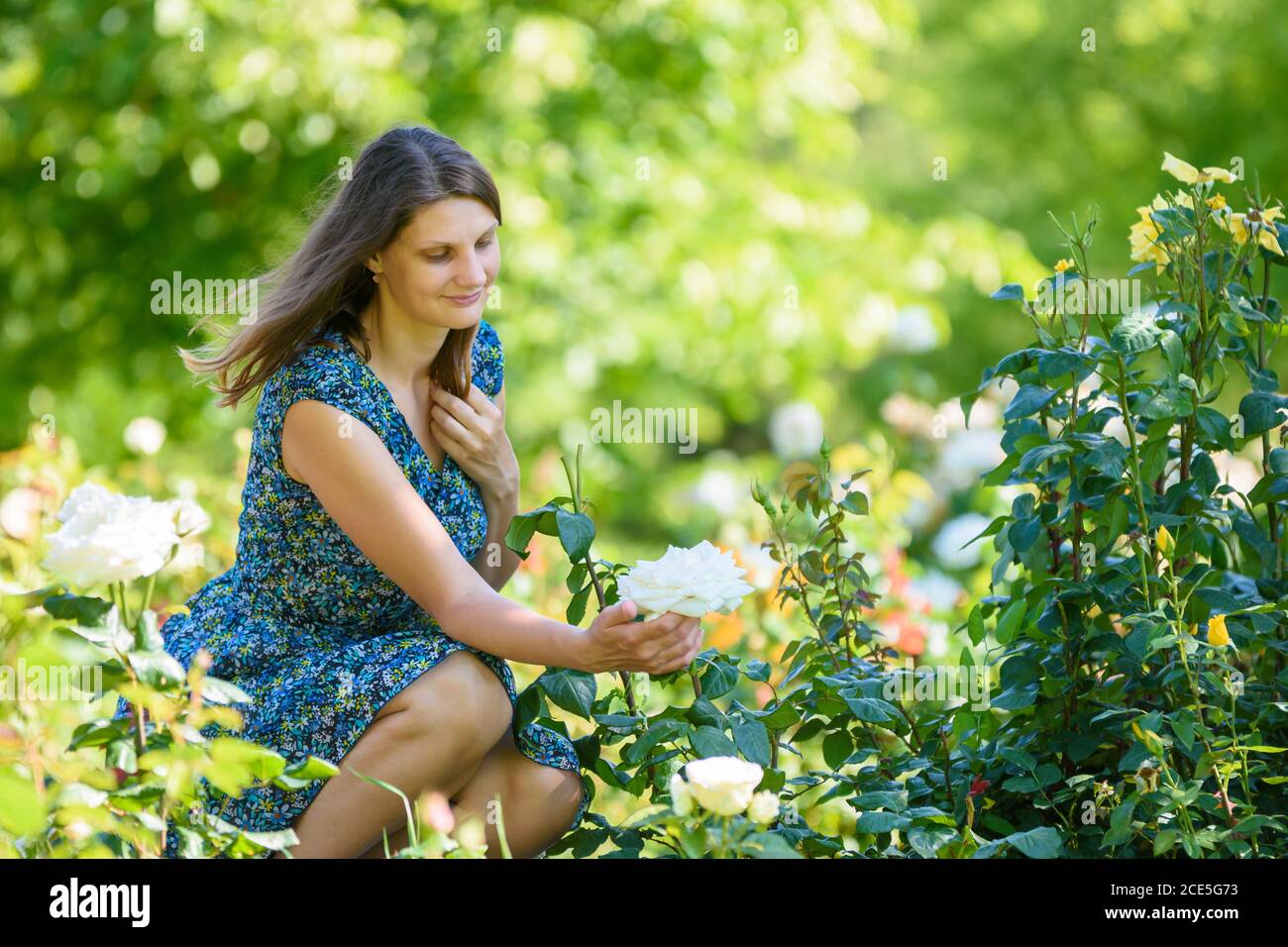 Girl in green garden admires white rose on bush Stock Photo