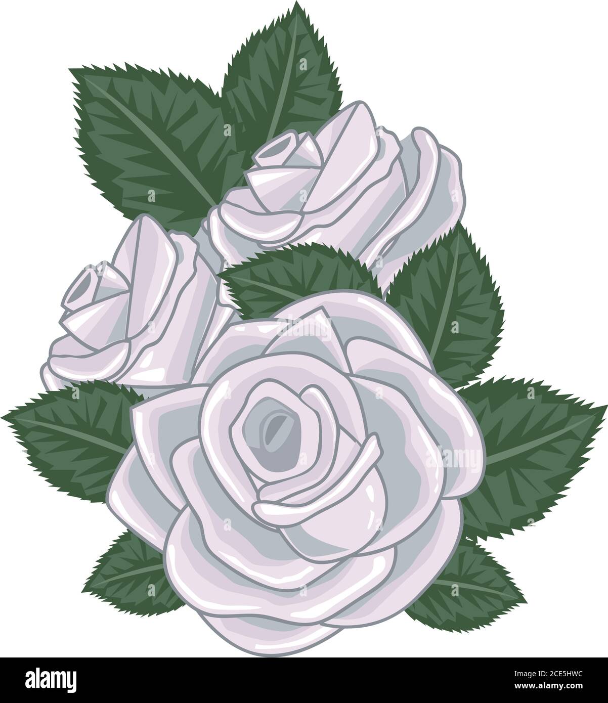 roses vector illustration on white Stock Vector Image & Art - Alamy