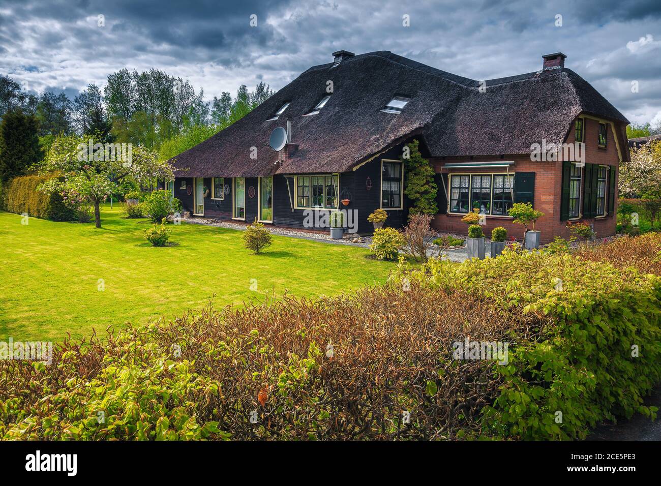 Cozy luxury dutch house with thatched roof and orderly front yard. Ornamental garden with green grass and plants. Facade with garden and green bushes Stock Photo