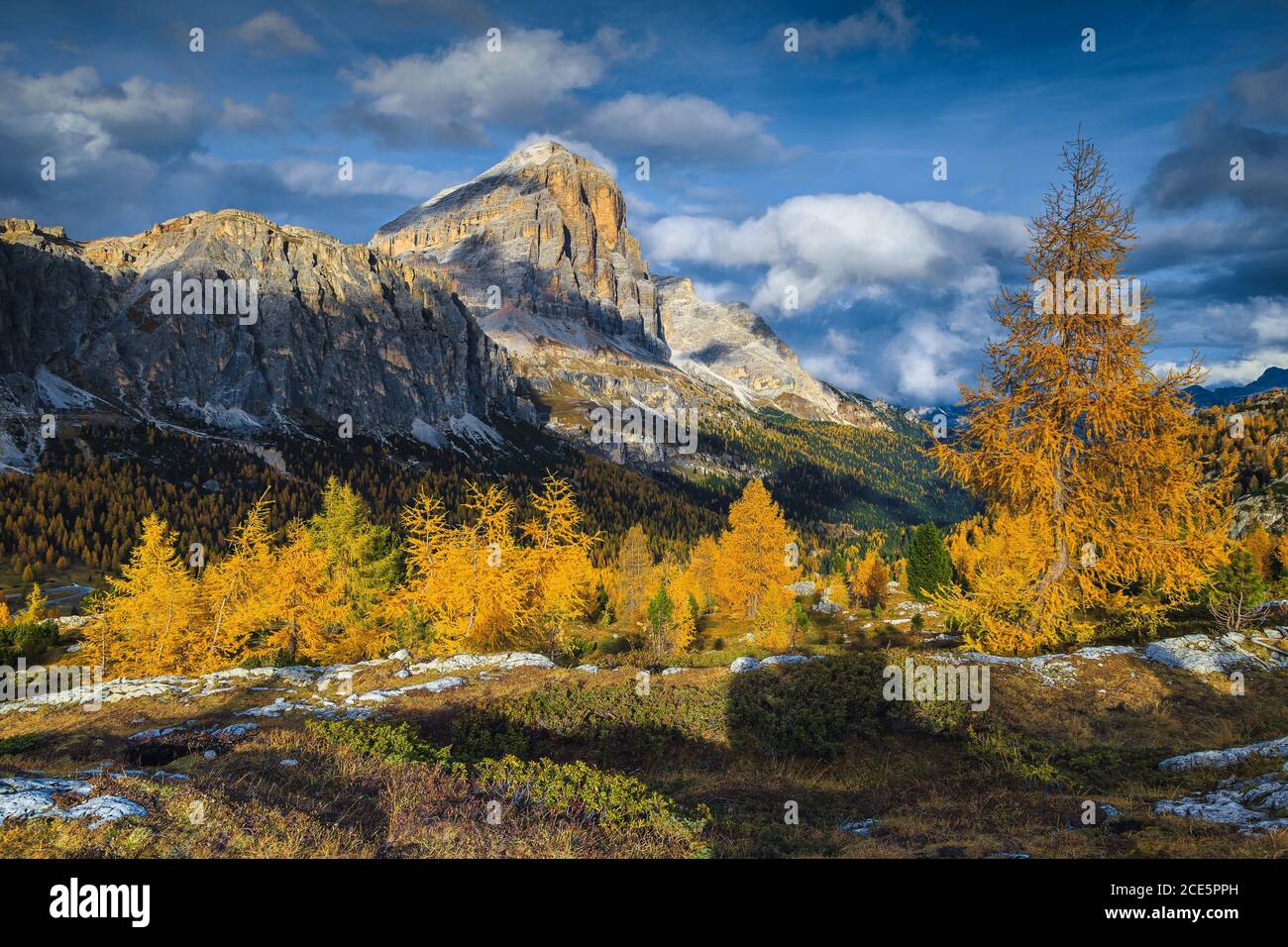 Stunning autumn alpine landscape with colorful redwood forest and beautiful yellow larches. Amazing clouds over the magical high mountains at sunset, Stock Photo