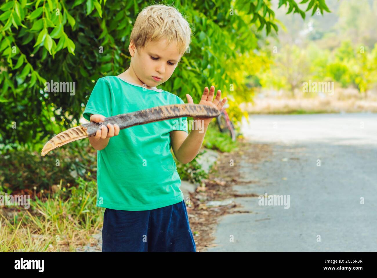 Blond mischievous boy prankster with freckles examines play with large wooden pod, artistic emotions facial expression gesturing. Family relationship Stock Photo
