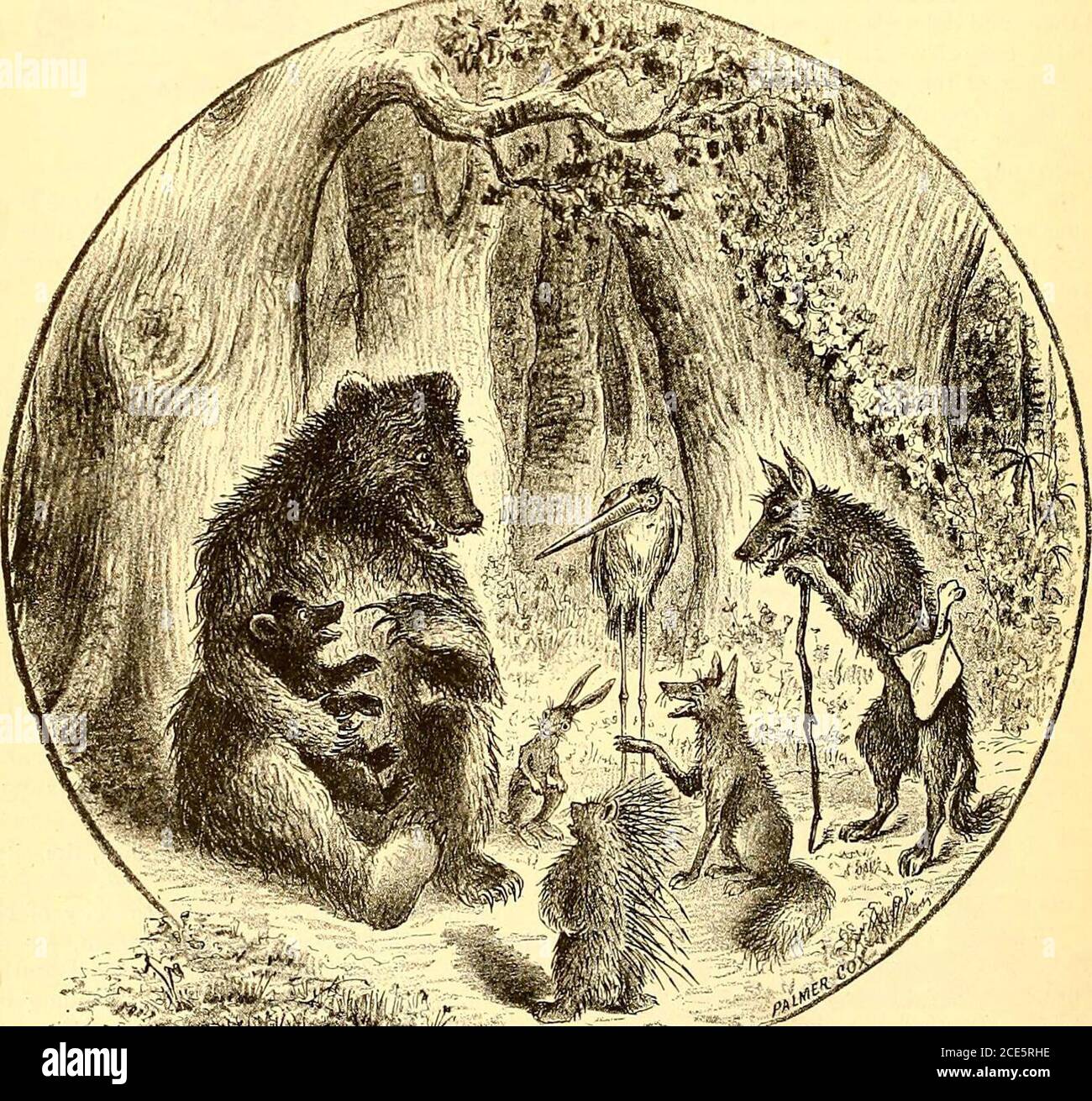 St Nicholas Serial W 0 T The First Tooth In Natures Wonderland 3 Fire Light Phantoms See Frontispiece By W T Peters Master Clinton Master Clinton And My Golden Haired Adele Say What