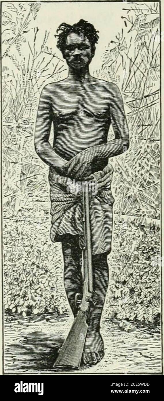 Two Years In The Jungle The Experiences Of A Hunter And Naturalist In India Ceylon The Malay Peninsula And Borneo There Ahill Tribe The Mulcers Of Whichevery Man Is Willing