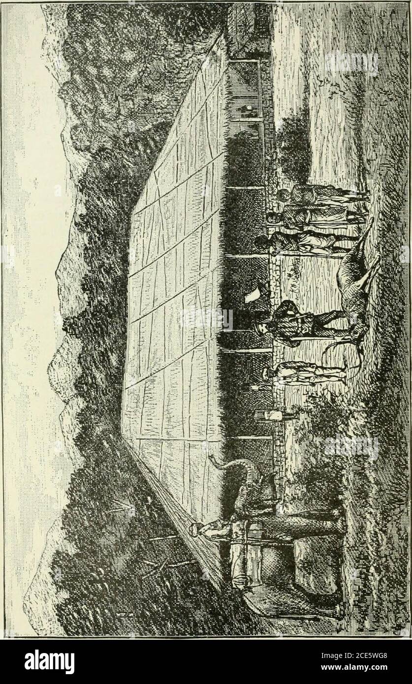 Two Years In The Jungle The Experiences Of A Hunter And Naturalist In India Ceylon The Malay Peninsula And Borneo Nhelping Us Along We Halted At The Bungalow Until