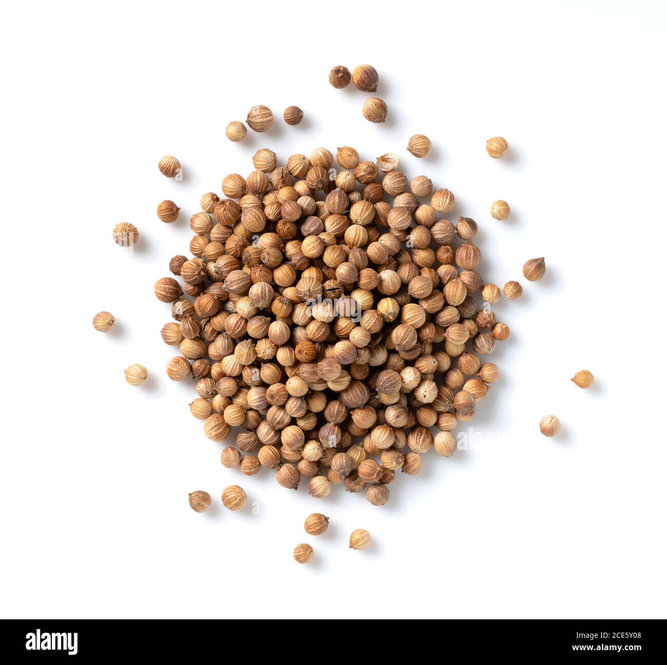 A bird's eye view of coriander on a white background Stock Photo Alamy