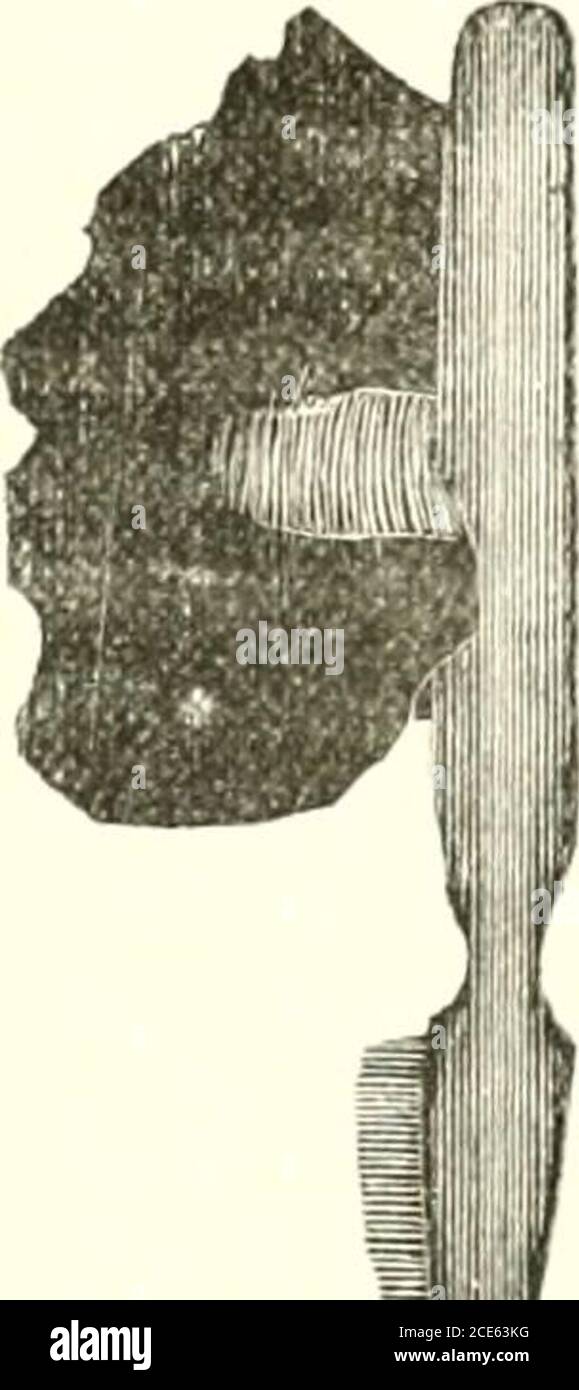 The Indians Of Berks County Pa Being A Summary Of All The Tangible Records Of The Aborigines Of Berks County And Contaning Cuts And Descriptions Of The Varieties Of Relics Found The Indians Of Berks County Pa Being A Summary Of All The Tangible Records Of The Aborigines Of Berks County And Contaning Cuts And Descriptions Of The Varieties Of Relics Found