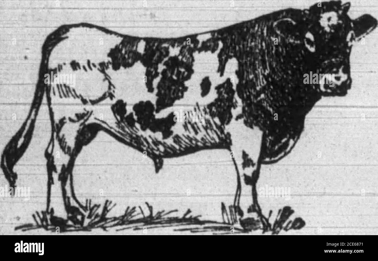 . Boone County Recorder . Interesting Tests Made by Prof.Fraser of Illinois. In One Herd Only Four Animals ProvedProfitable— Money a/id Labor Wast-ed on Thirty Others—Profitand Loss Shown. Pror. tVllber J. Fraser, Universityof Illinois, after figuring out his tableof the keep and profit of cows of alldegrees of production, illustrates itsuse in a very striking manner by in-terpreting the records of five herdschosen from the scores of herds theIllinois station has tested for a fullyear. Herd No. 1 contains 24 cows whoseaverage production is 5,565 pounds ofmilk and 199 pounds of butterfat,with a Stock Photo