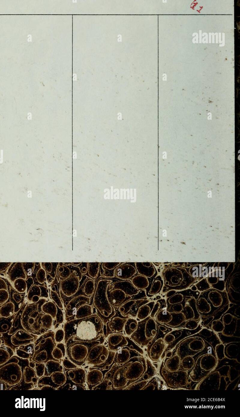 Portrait Of Madame M High Resolution Stock Photography And Images Alamy