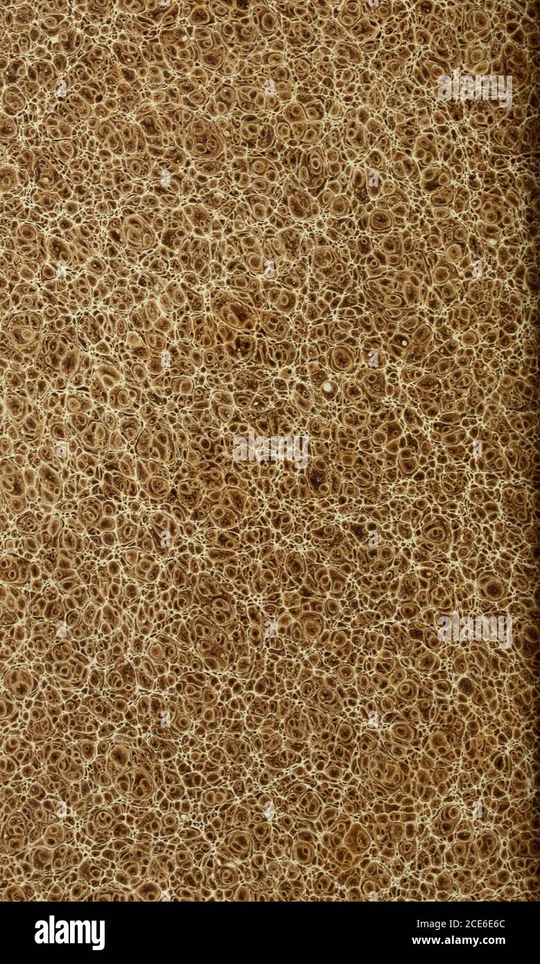 Bande De Terre Hi Res Stock Photography And Images Alamy