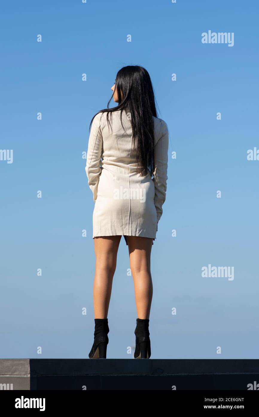 Rear view of young woman wearing short dress and high heels standing ...