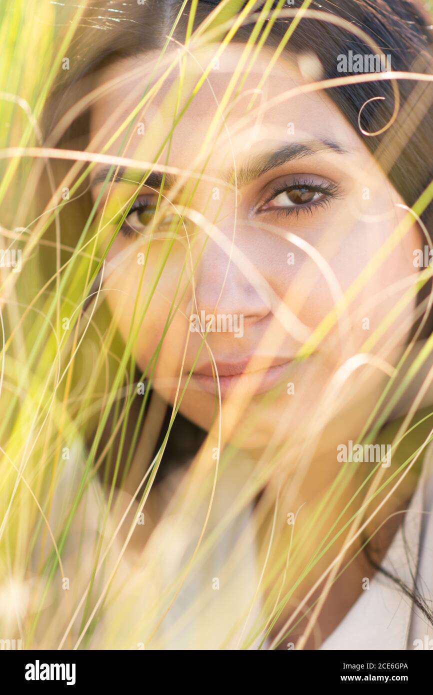 Beautiful woman looking at camera Stock Photo