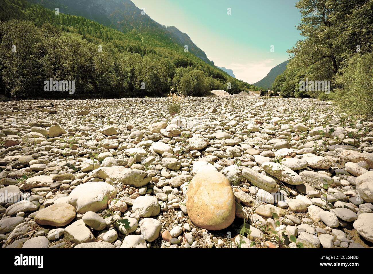 Stones in the dried riverbed Stock Photo