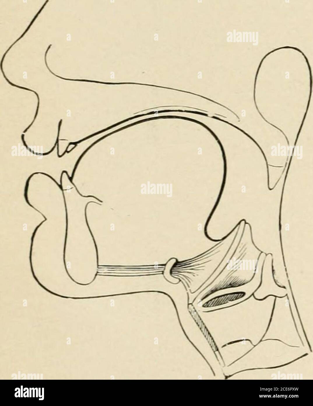 . A text-book of human physiology . finally intothat of broad A. and ...
