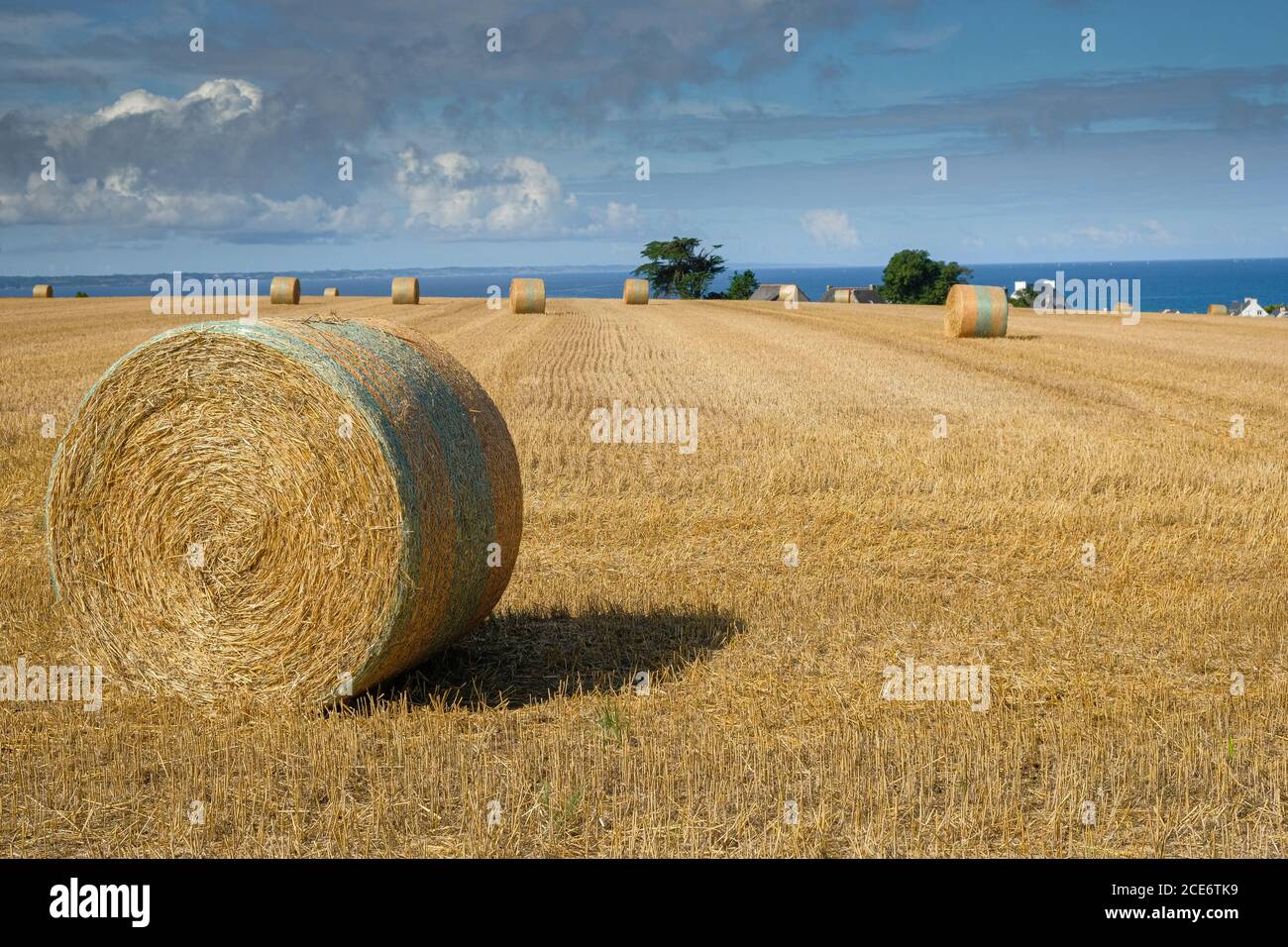 Agriculture in finistere and brittany hires stock photography and