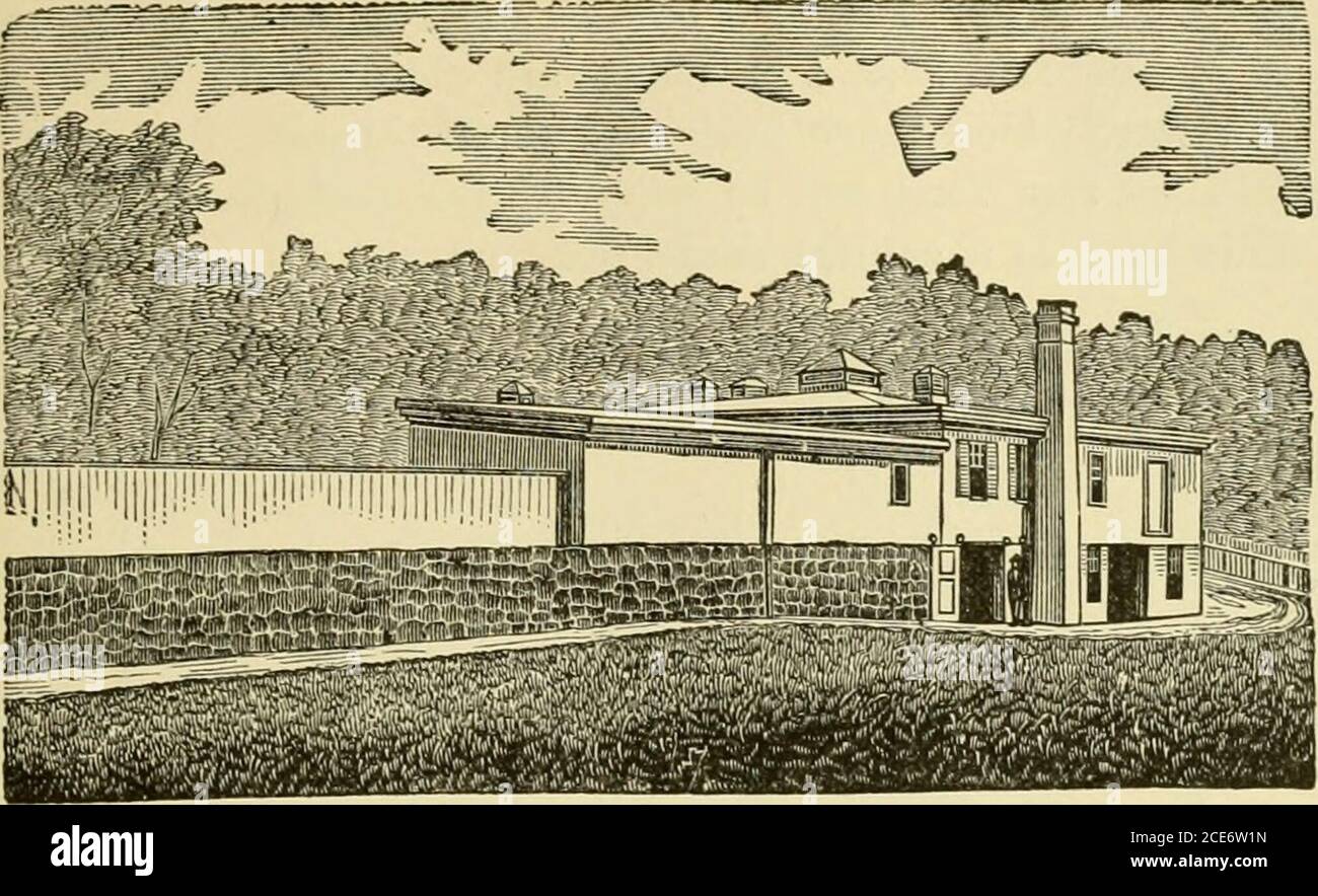 Feeding from a hay rack hires stock photography and images Alamy