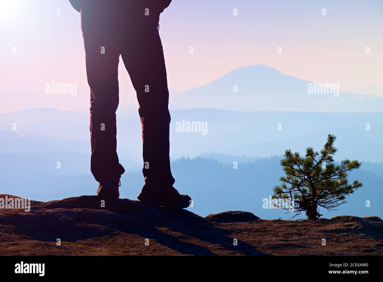 Man hiker legs in tourist boots stand on mountain rocky peak. Small pine bonsai. Stock Photo