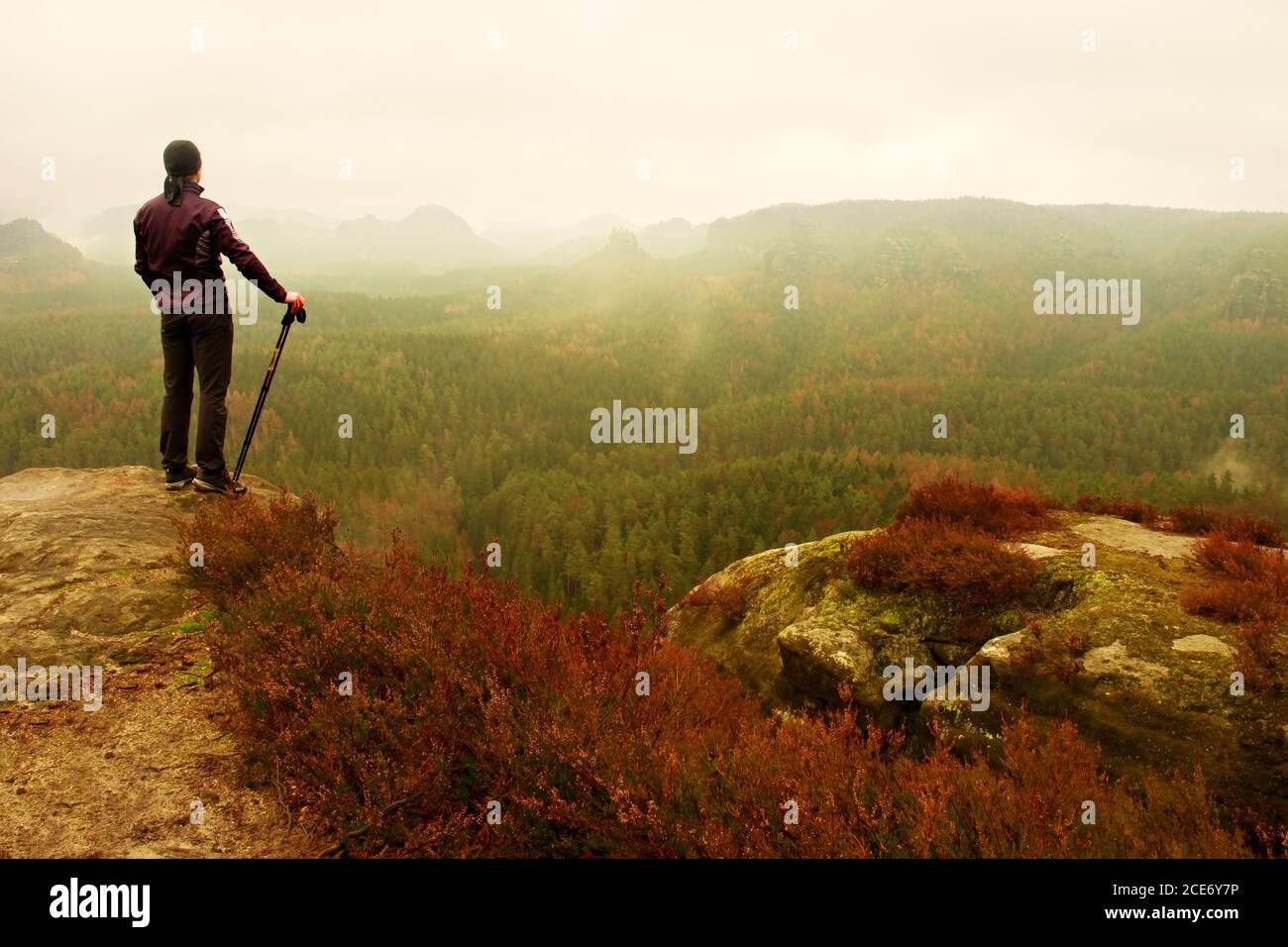 Man hiker in dark sportswear and poles stand on mountain peak rock. Red heather bushes Stock Photo