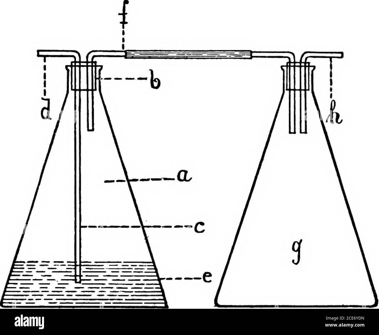 . A laboratory guide in bacteriology, for the use of students, teachers, and practitioners . Fig. 24Action of Berkefeld Filtera. Berkefeld filter d. Intercepting flask 6. Filtered liquid e. Connection with aspirator t. Side tube with cotton filter /. Rubber hose 2. Set aside, and observe the results. The filter (a),after being connected with the flask, is steriUzed in theautoclav. The cotton plug at c prevents the air, whichis sucked back, from carrying germs. The flask d will INFECTION AND STERILIZATION 47 prevent the water from running back and mixing withthe filtered hquid. Now arrange a co Stock Photo