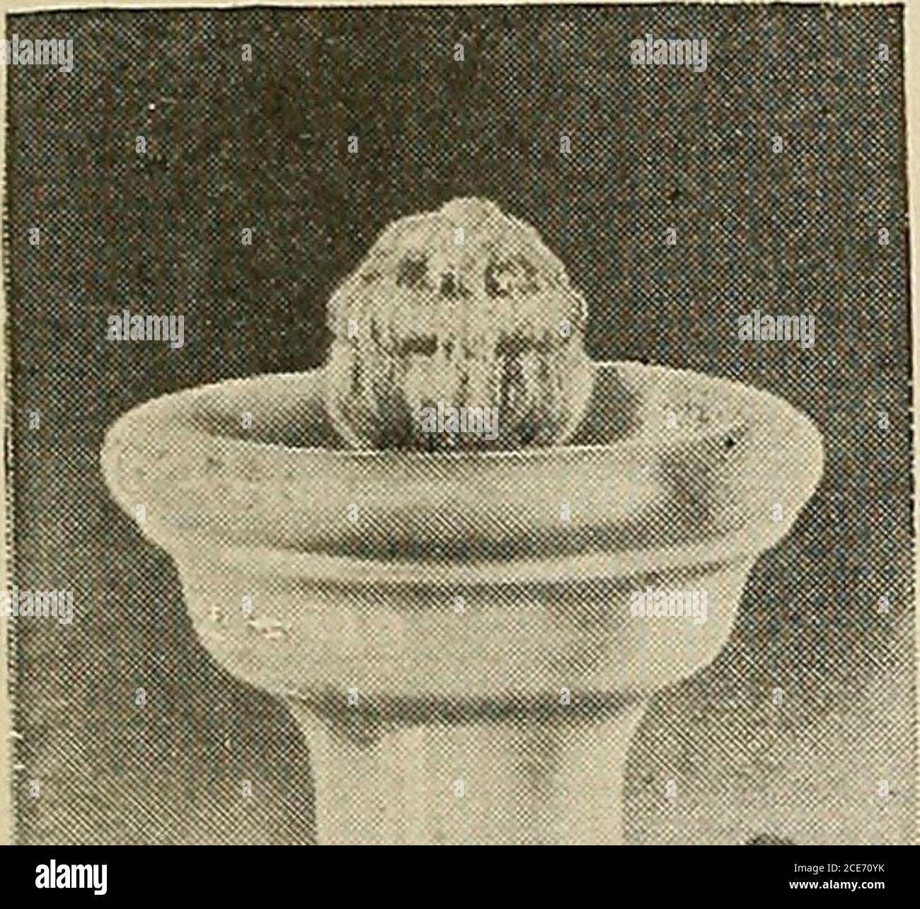 . American school building standards . ?Si FLOOR ^ SECTIOtS ELEVATION