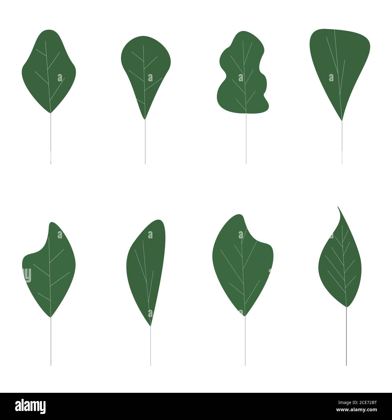 Green flat tree collection, abstract floral form. Tree plant eco, leaf environment, forest form floral, botanical and ecological wood. Vector illustra Stock Vector
