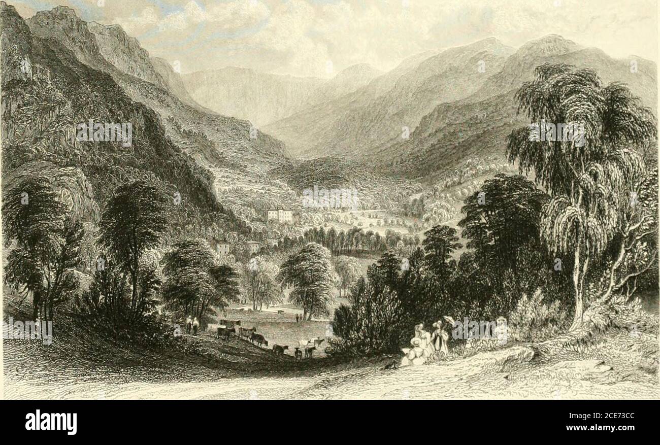 Whitesilvery hi-res stock photography and images - Alamy