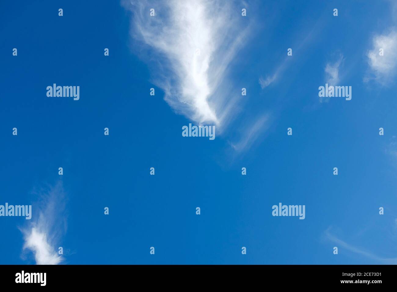 White cirrus clouds on a background of dark blue sky. Copy space for ...