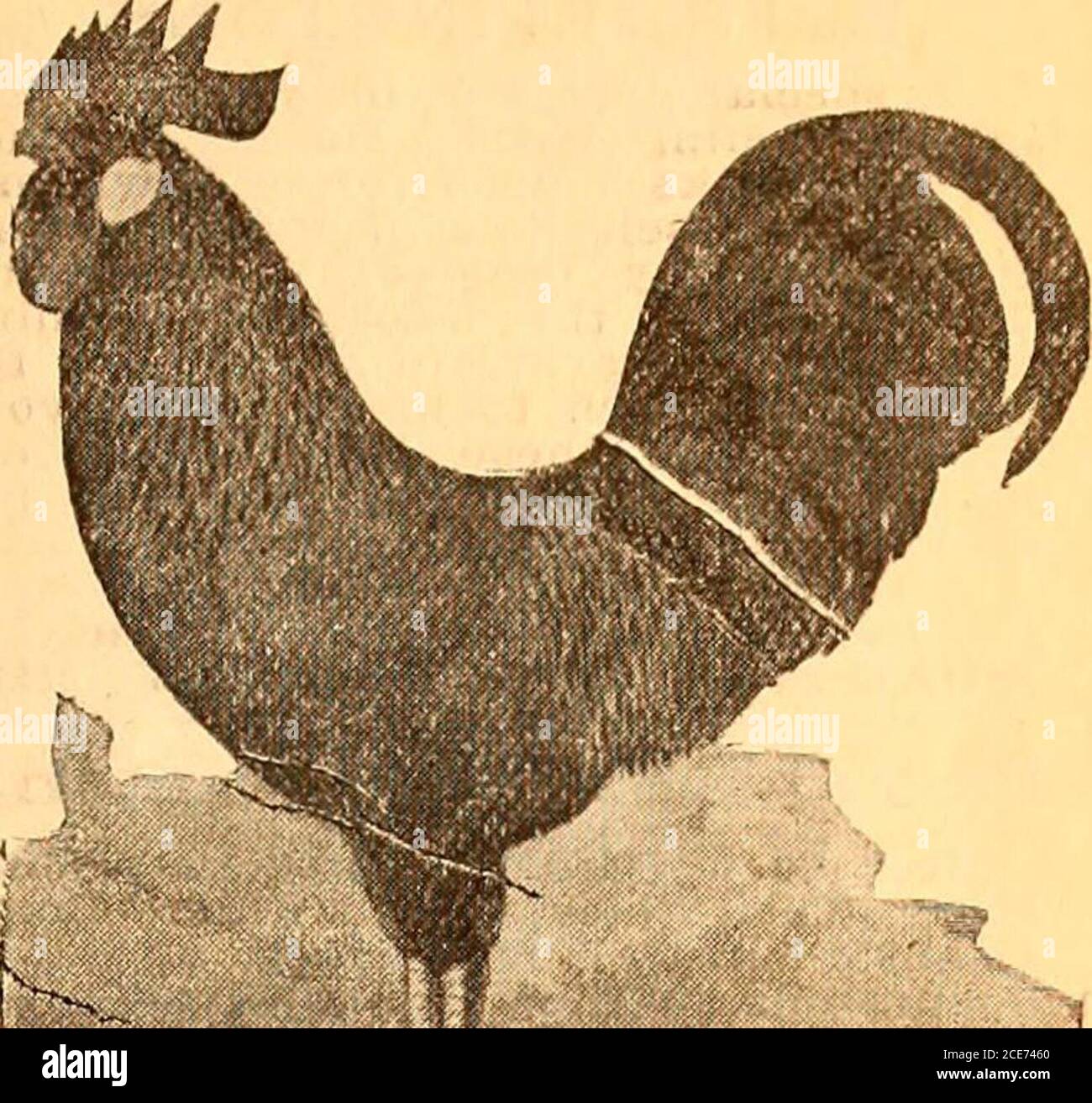 3 287 High Resolution Stock Photography And Images Page 6 Alamy