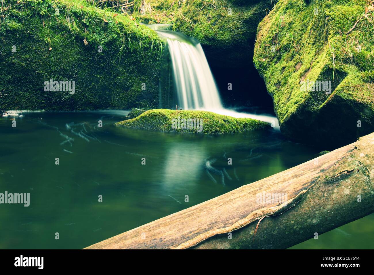 Torrent,  mountain stream with mossy stones, rocks and fallen tree. Stock Photo