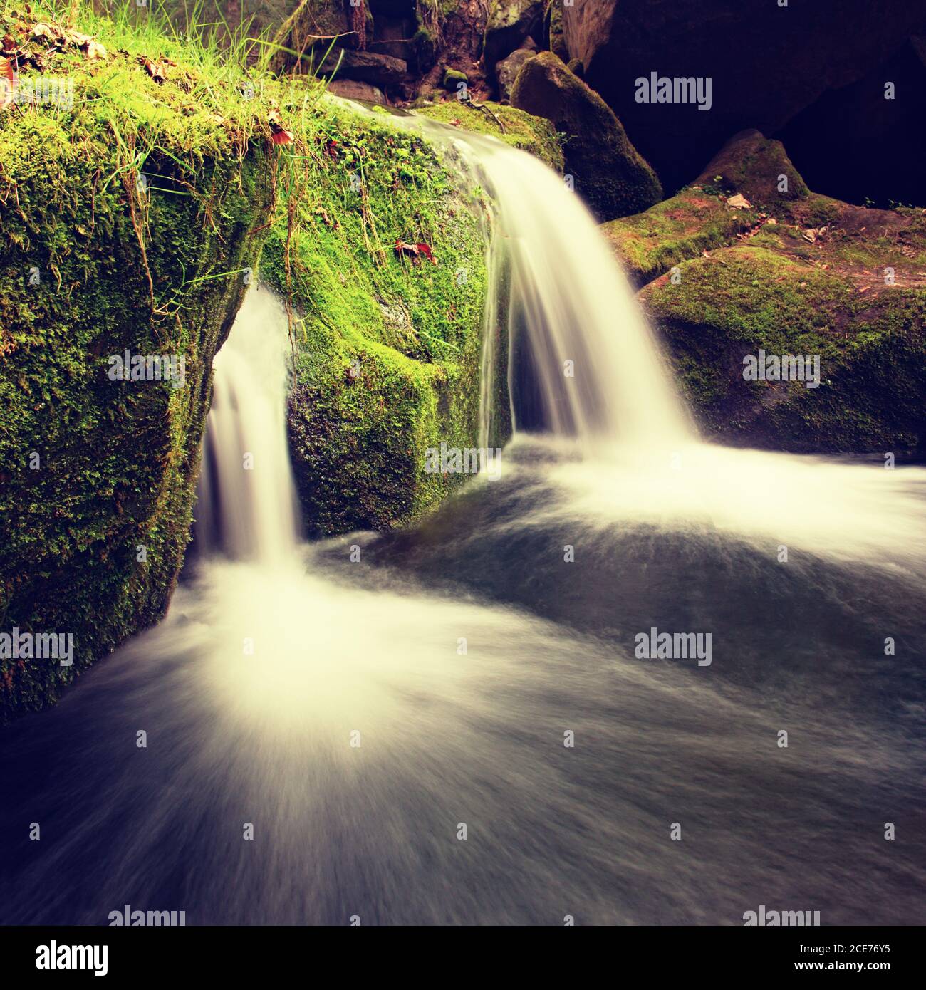 Cascade on small mountain stream. Cold crystal  water is falling over basalt mossy boulders into small pool. Stock Photo