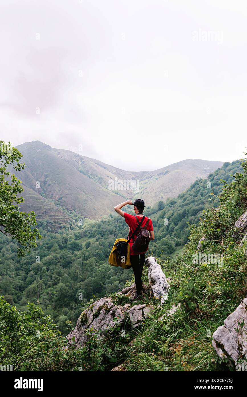 Back view female tourist doing hiking in countryside and admiring scenery of mountainous valley with english setter dog Stock Photo