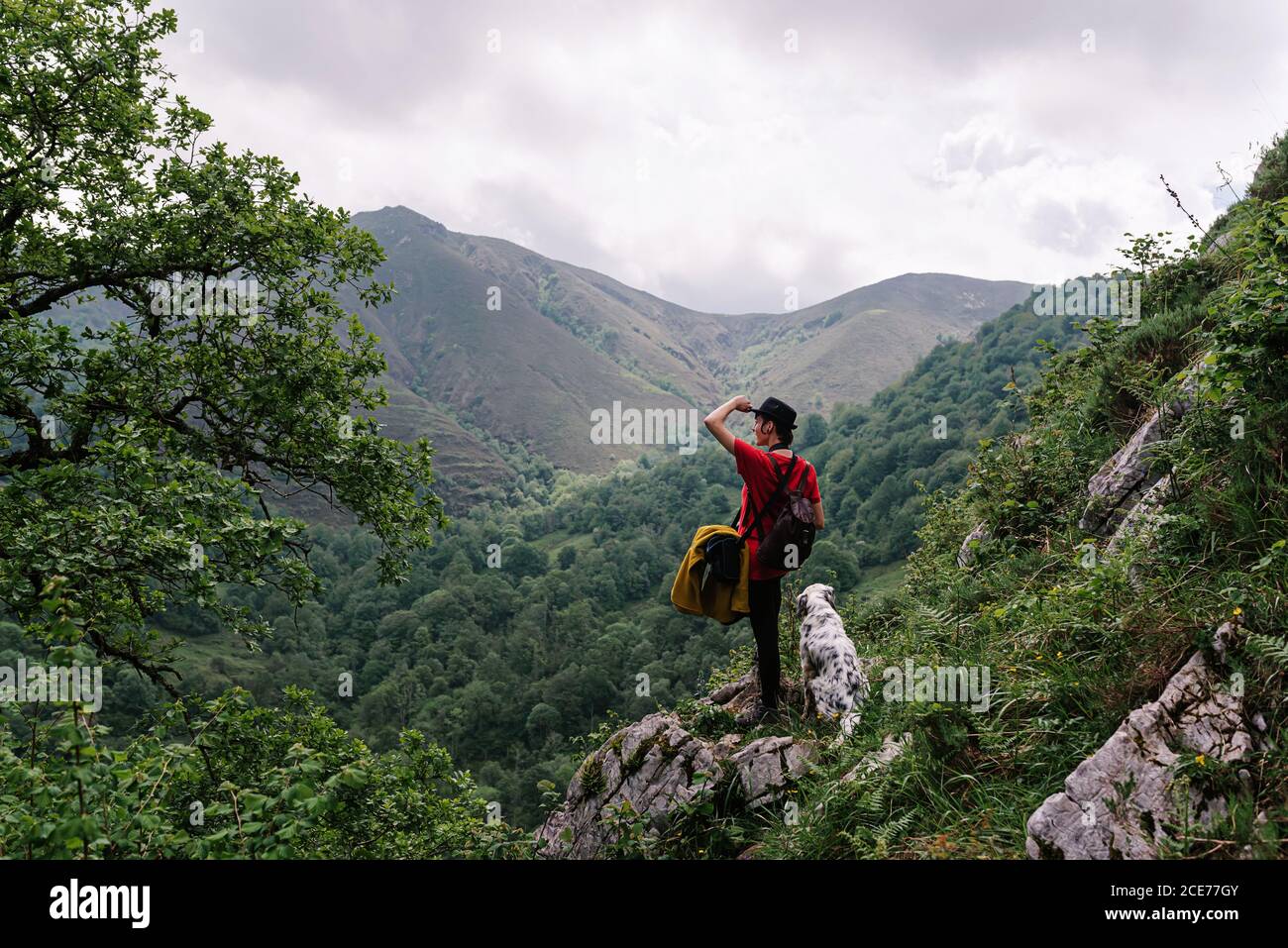 Back view female tourist doing hiking in countryside and admiring scenery of mountainous valley with english setter dog Stock Photo