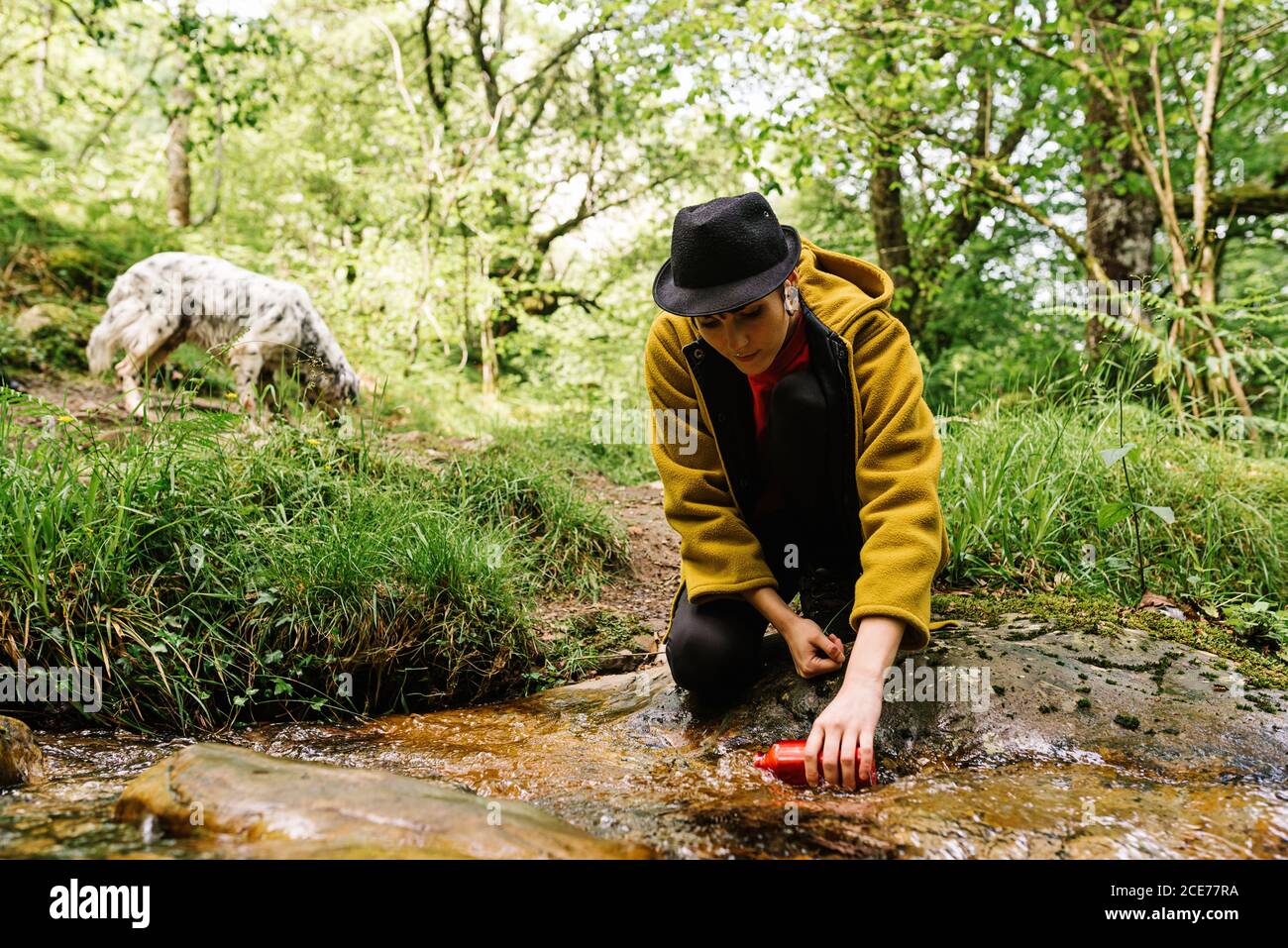 Stylish female in outerwear taking clean water from creek while resting in green forest with dog Stock Photo