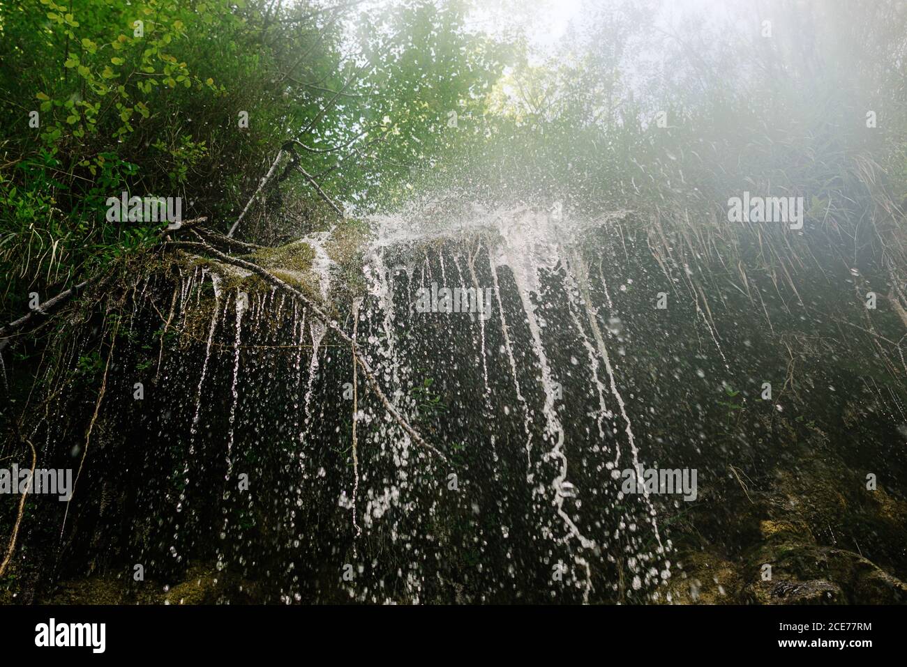 Amazing view of waterfall cascade and stream flowing through forest ...
