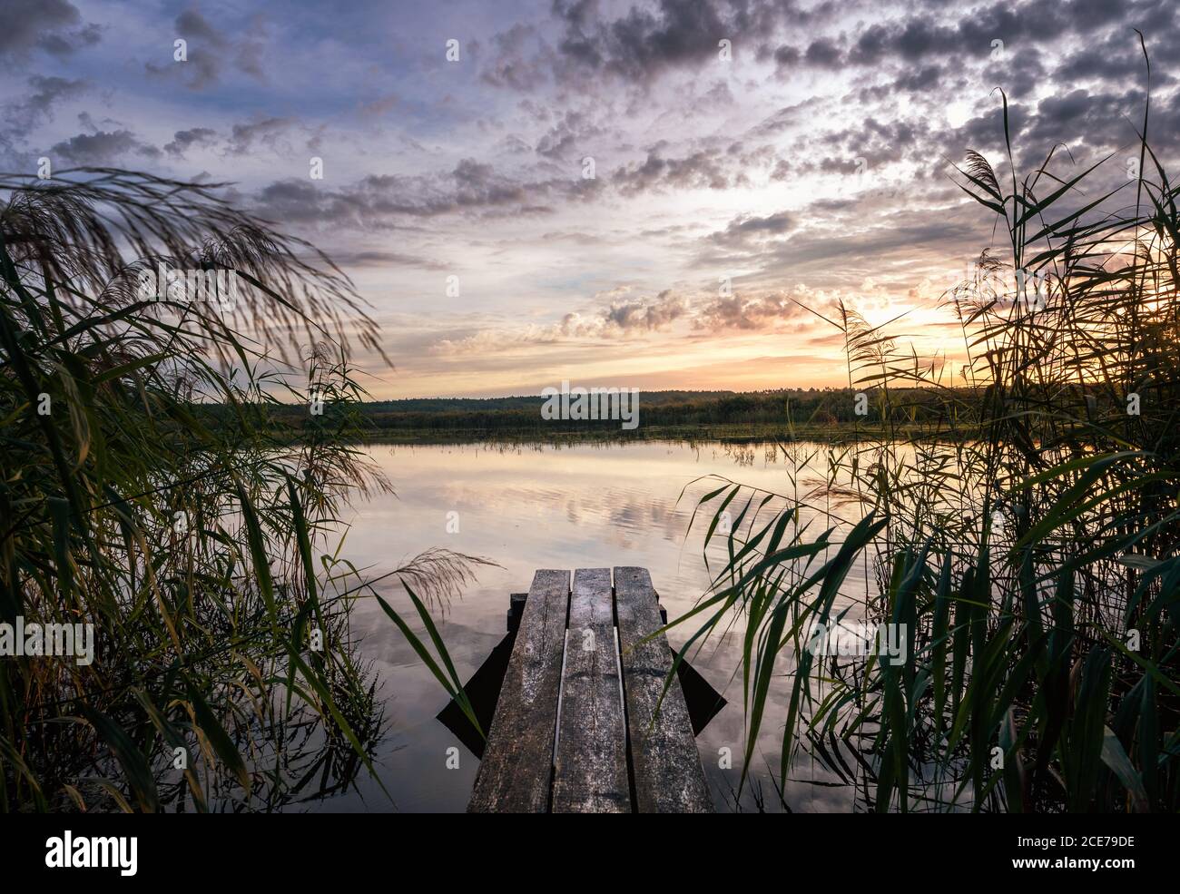 Wooden jetty on the lake at the sunrise, fishing background with copy space Stock Photo