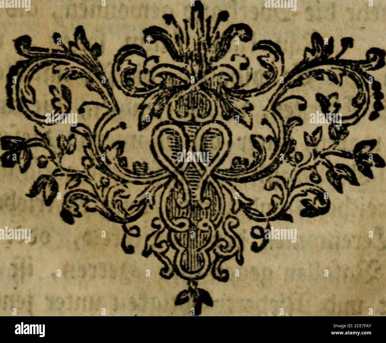 Uae Au Ae T 勝利の最高の壁紙無料afhd