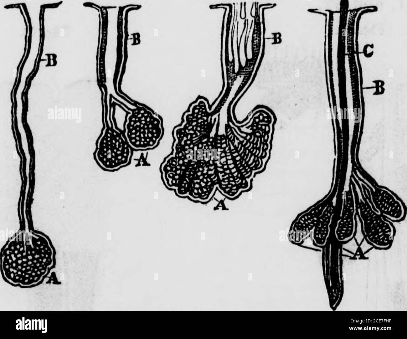 . The hydropathic family physician a ready prescriber and hygienic