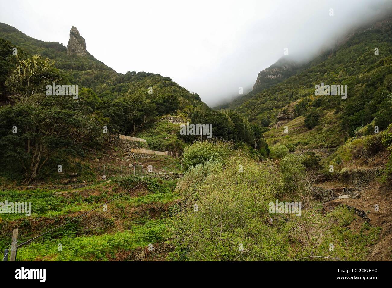View towards the laurel forest and National Garajonay on La Gomera - taken at El Cedro Stock Photo