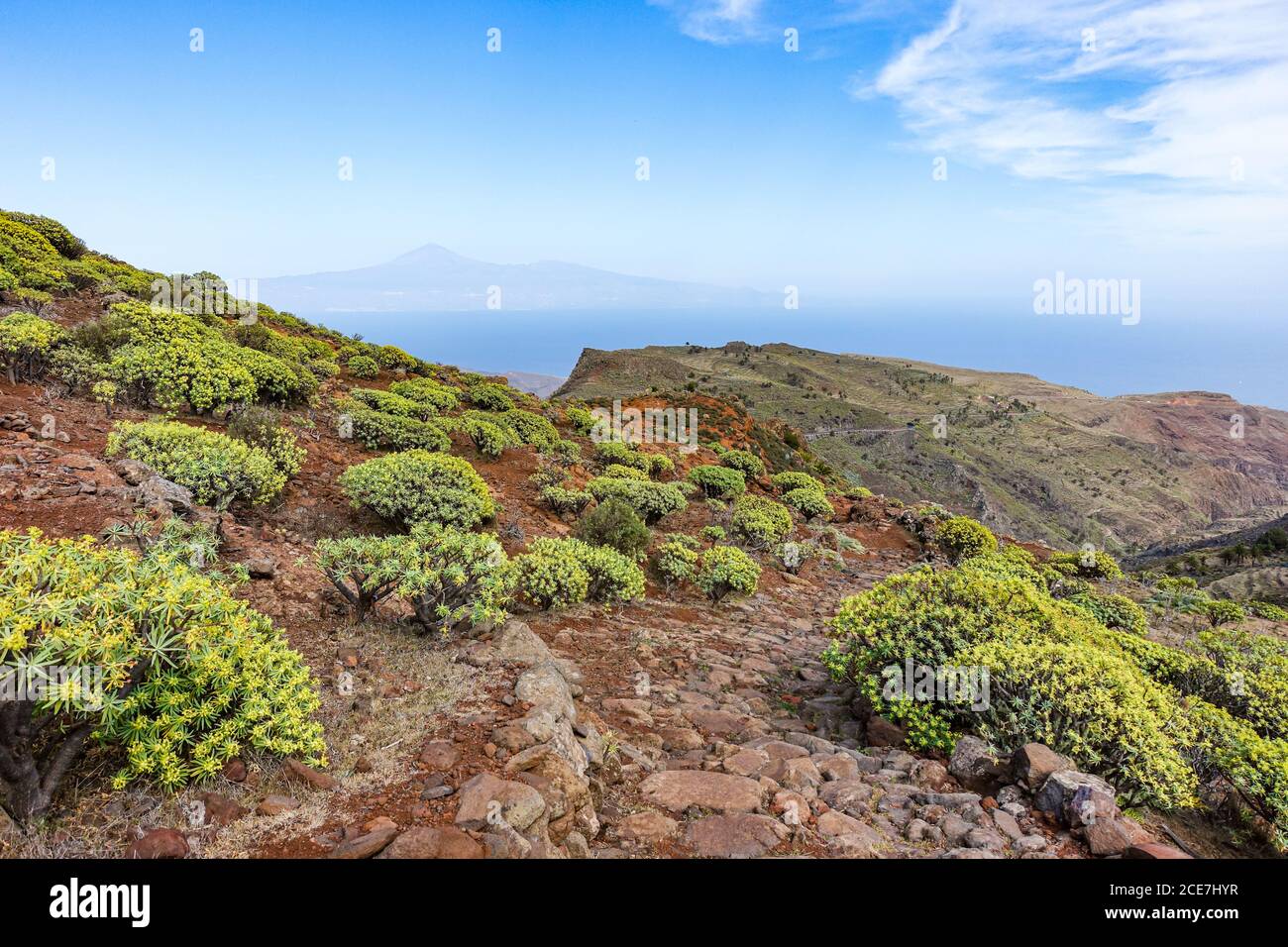 Landscape on La Gomera with flowering spurge plants and view of Tenerife Stock Photo