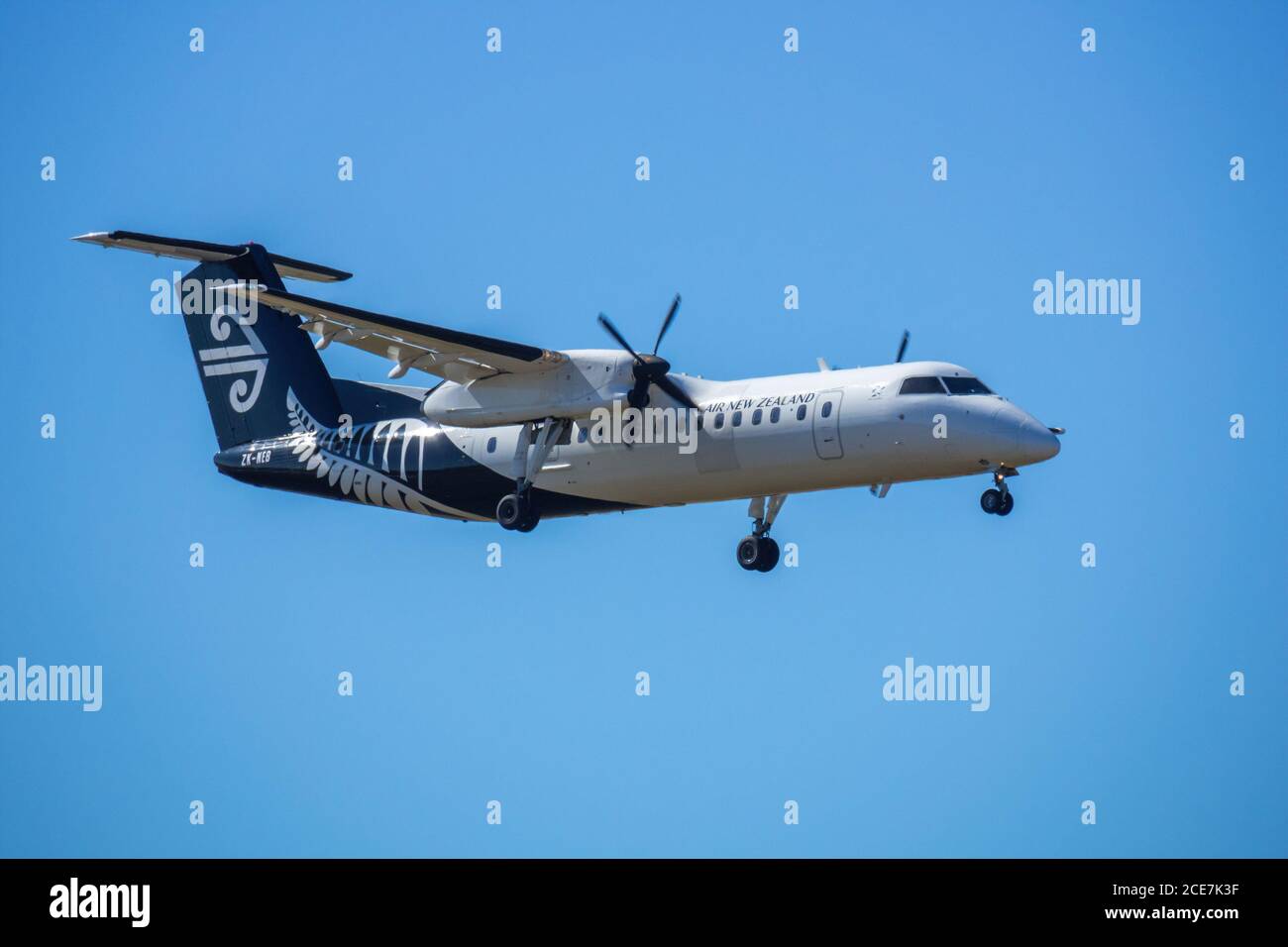 Air New Zealand airplane is landing at the Auckland Airport Stock Photo