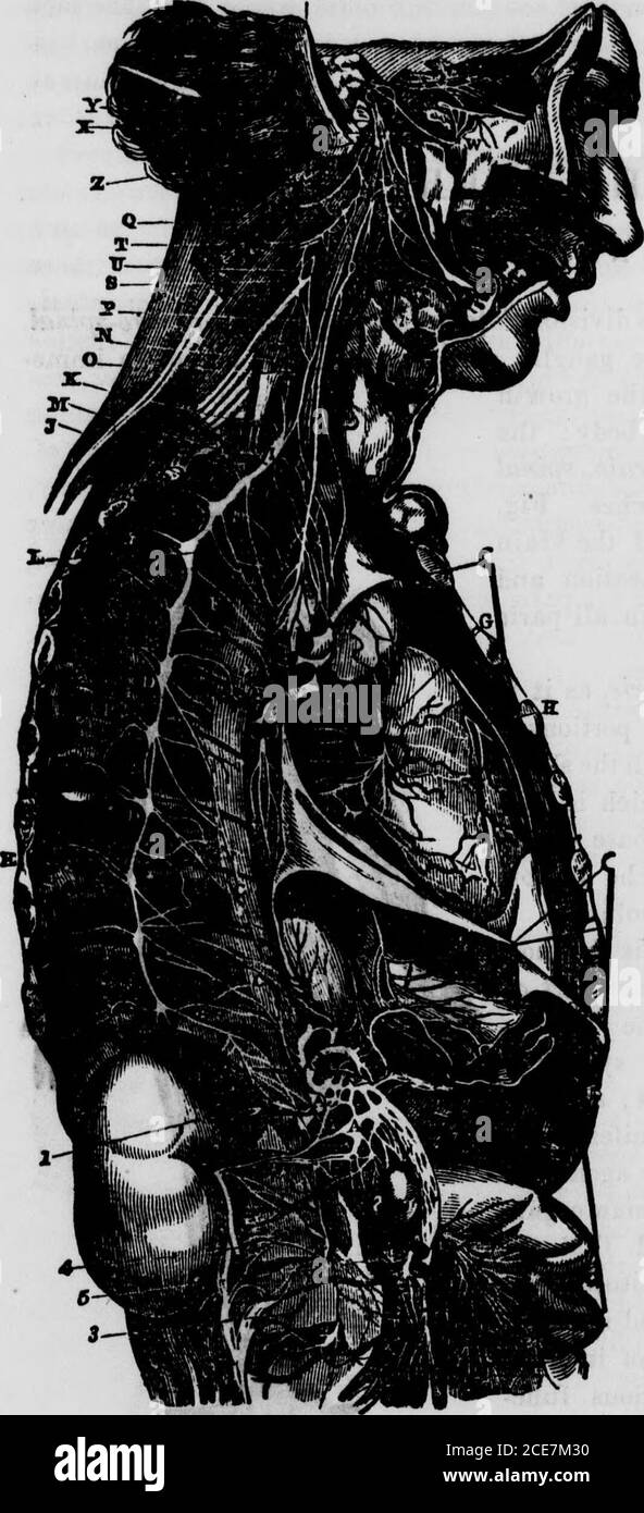 Page 63 M A K E High Resolution Stock Photography And Images Alamy