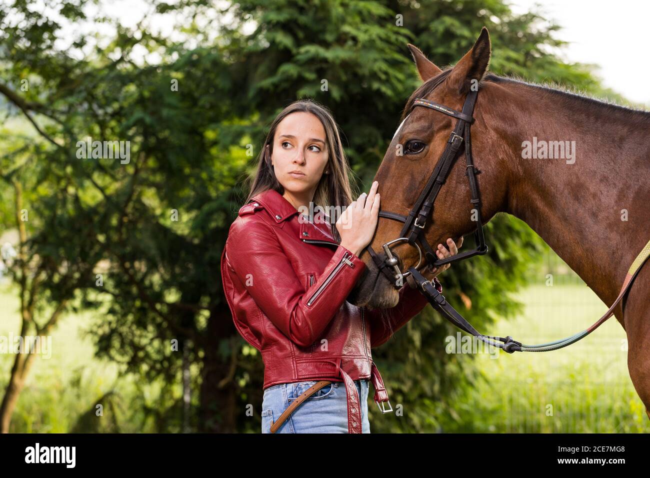 Side view of thoughtful young female in jeans and leather jacket stroking warm blooded stallion with bridle and reins while standing near shrub in rural zone and looking away Stock Photo