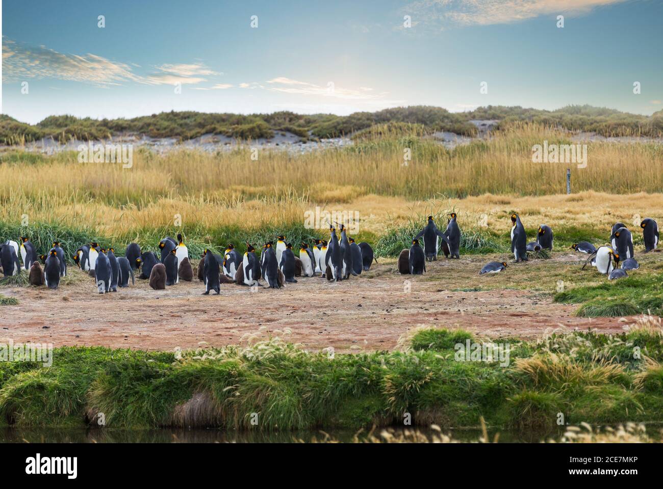 Royal family group hi-res stock photography and images - Alamy