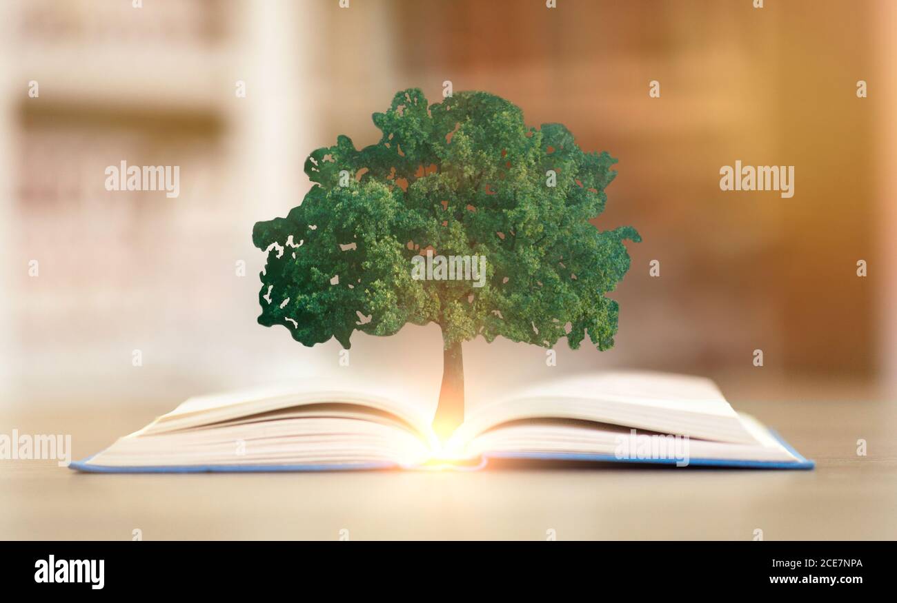 Tree Growing From Opened Book Lying On Desk In Library Stock Photo - Alamy