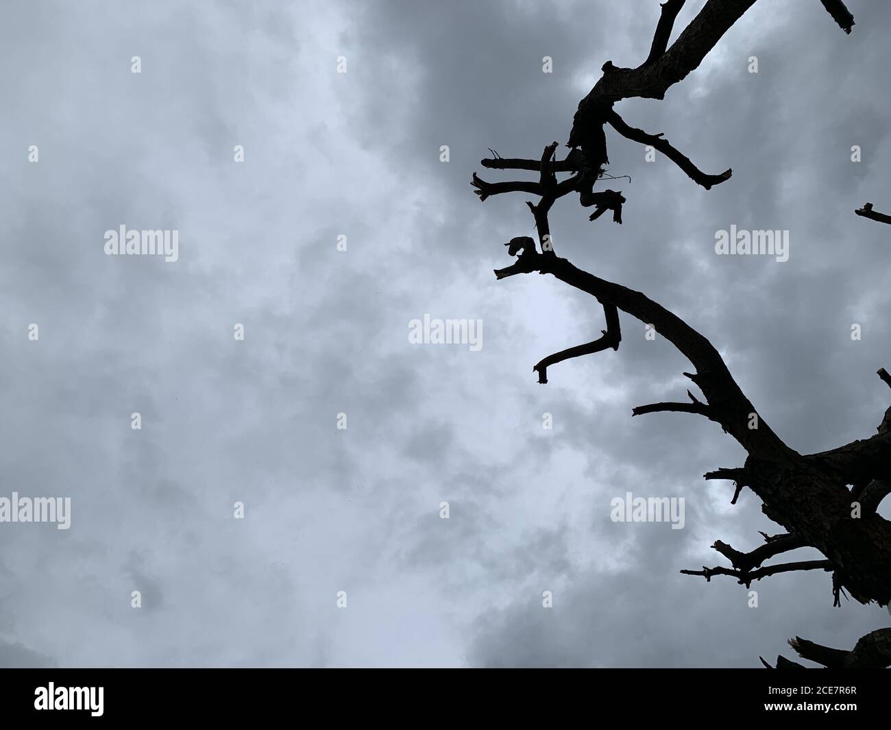 Low angle shot of the rainy and cloudy sky Stock Photo - Alamy
