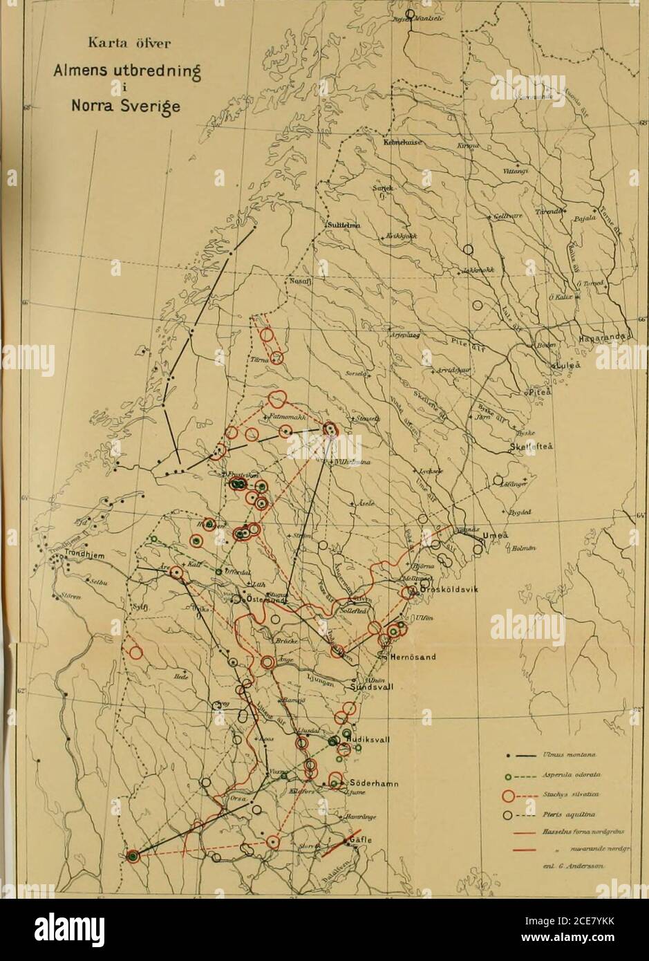 Skogsvårdsföreningens tidskrift . Fig. 9. Alm vid Säterklumpen, Frostvikens  socken, Jämtlands län. Fot. förf. N ^^Ä. i @B2j4ifr^..«ai t./ ^i^^y- ^^^K  &gt; 1 ?^- ^^^E / ^^!;- ? ^j^^^ 1^*^!? s^- ^^^? .? ---^ ^