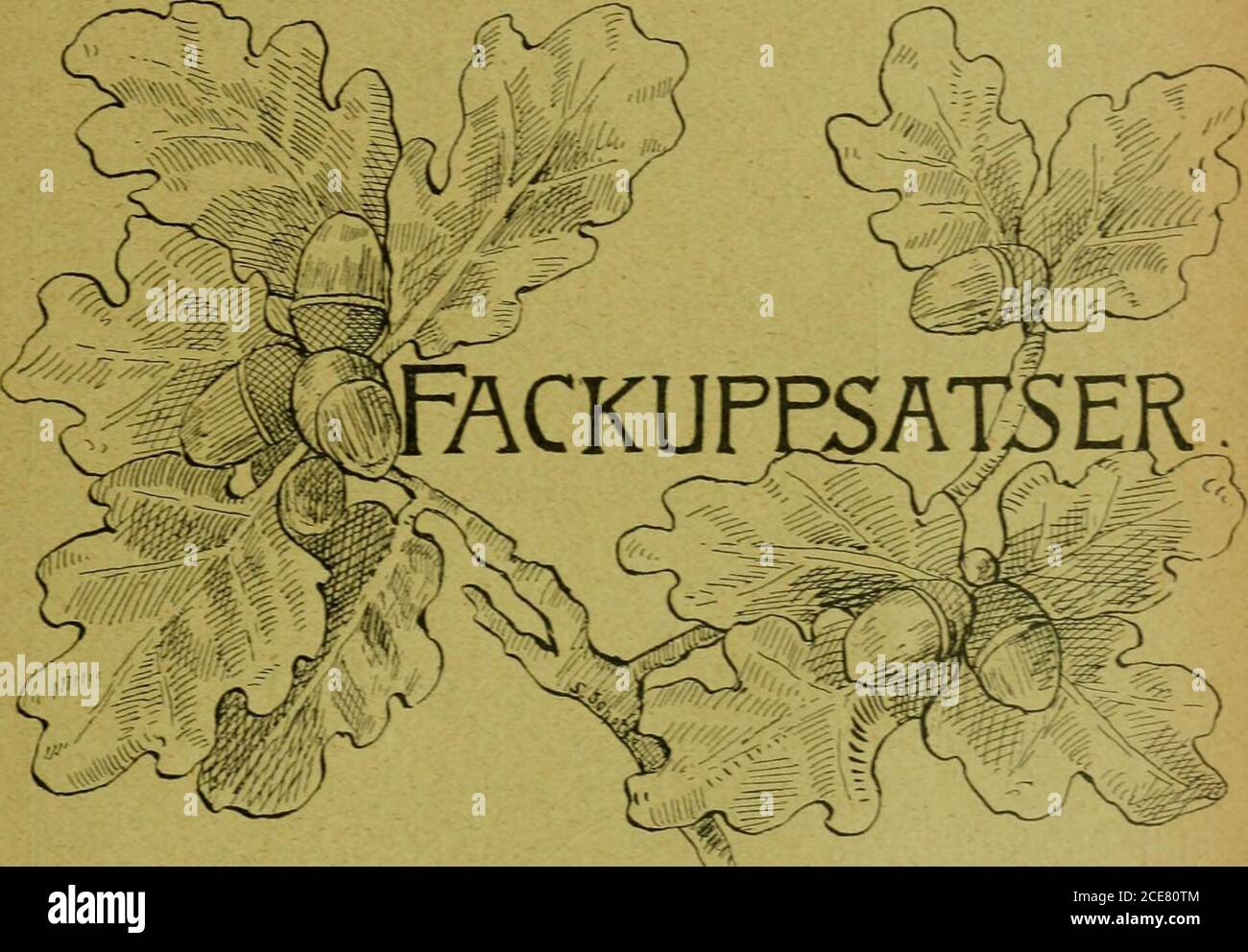 Sven fischer hi-res stock photography and images - Alamy