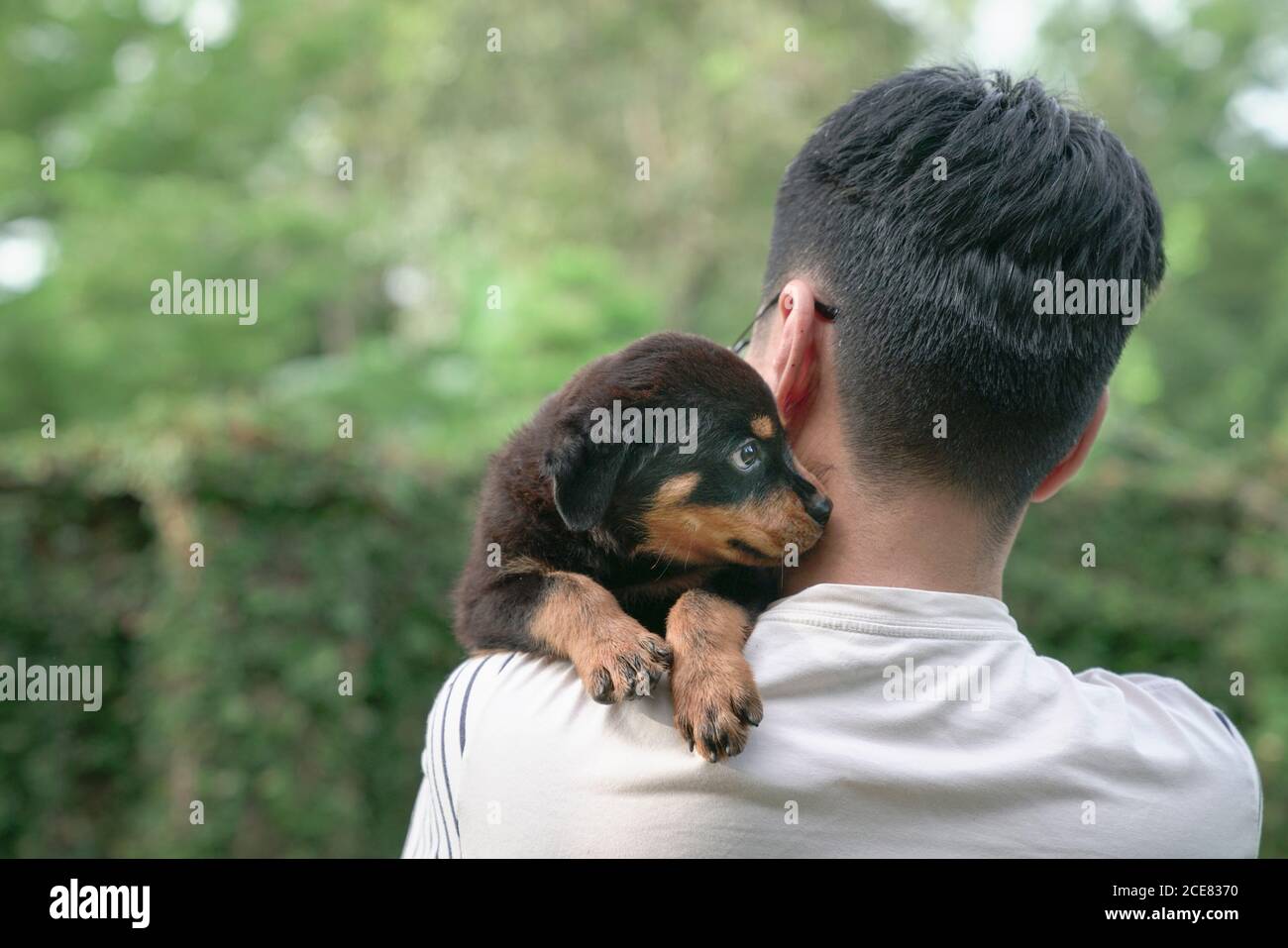 Can Head And Shoulder Be Used On Dogs