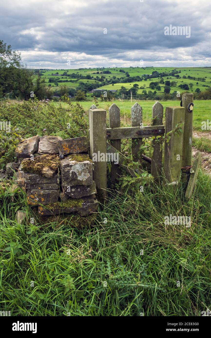 Overgrown unused footpath gate near Ford, Peak District National Park, Ford, Staffordshire Stock Photo